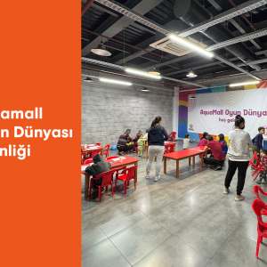 Oyun Dünyası